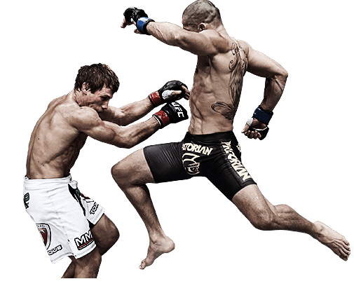 EA Sports UFC PNG Background Image