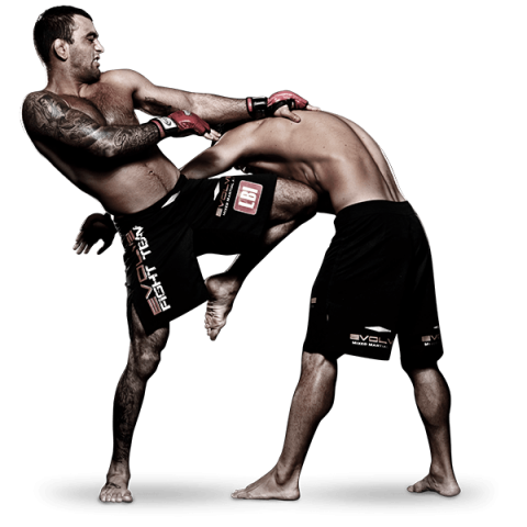 pngimg com ufc PNG