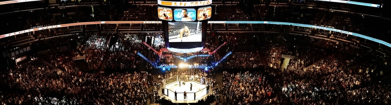 แทงมวยออนไลน์ UFC cover